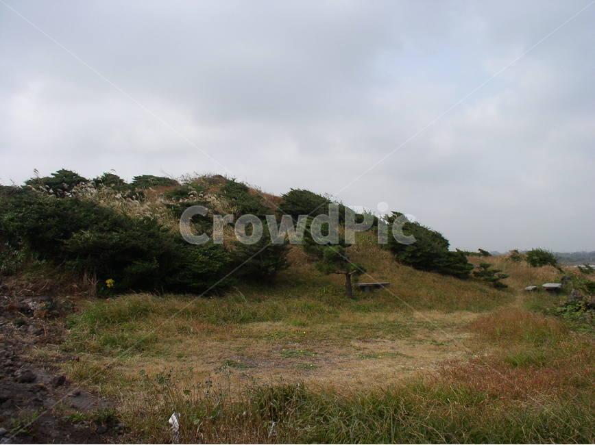 제주도풍경,제주도해안풍경,제주도돌담,제주도밭,koreajejuislandlandscape,koreainternationalroad,koreainternationalcapitalollehroad
