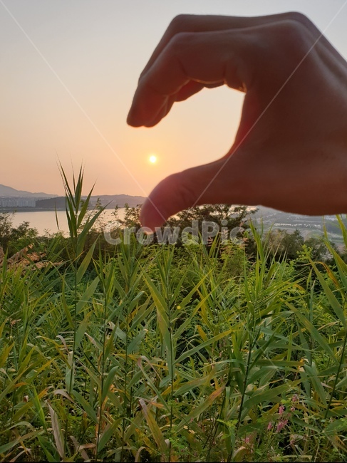 outdoors,자연,nature,옥외,하트,사람,인물,인간,human,person,신체일부,몸,body,손,제스처,표시,손짓,표현,gesture,hand,sign,expression