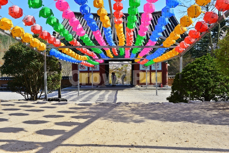 nature,자연,landscape,경치,outdoors,옥외,scenery,풍경,봄,계절,부안,내소사,벚꽃,사찰,불교,절,연등,부처님오신날
