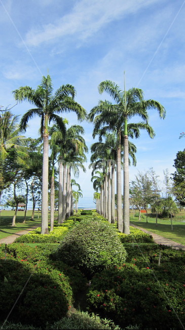 코타키나발루,야자수,말레이시아,하늘,해변,바닷가,나무,palmtree,kotakinabalu,자연,풍경,nature,landscape,해외,외국,세계,foreign,oversea,world,세계자연풍경,해외자연풍경,외국자연풍경,world nature landscape,outdoors,옥외,garden,정원,arbour,정자
