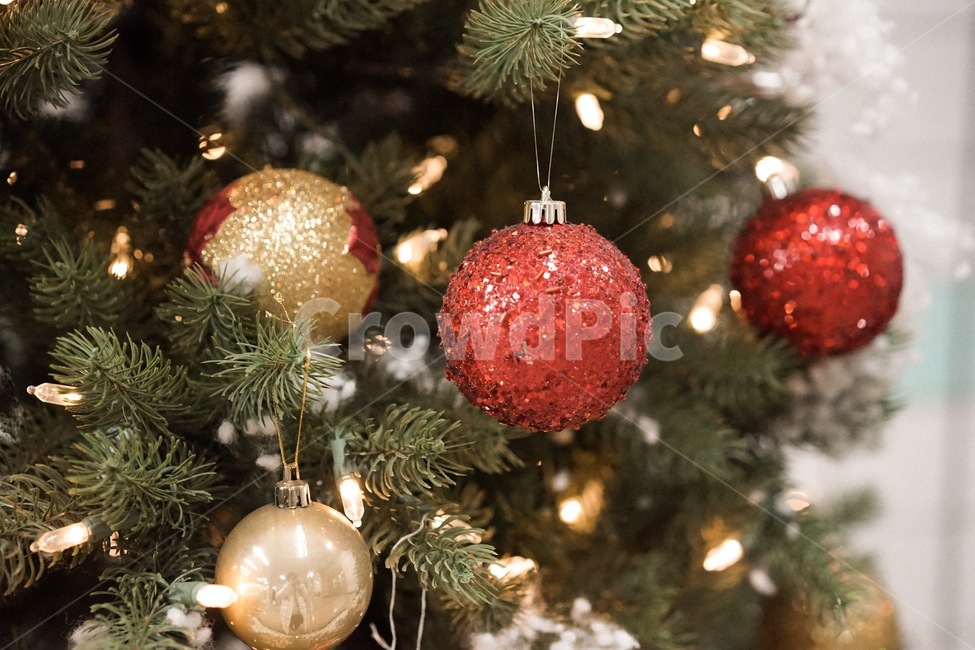트리,크리스마스,겨울,tree,성탄절,겨울,계절,winter,season,메리크리스마스,성탄절,merry christmas