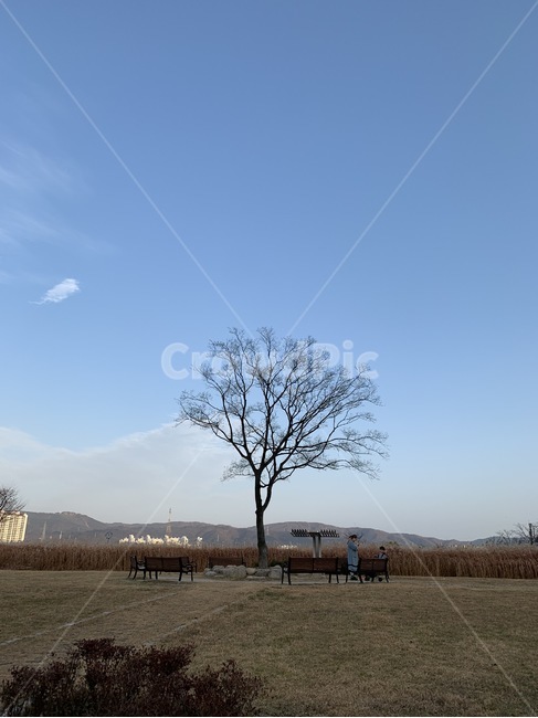 nature,자연,outdoors,옥외,맑은하늘,나무한그루,외로움,강변,가족,엄마와아이,힐링