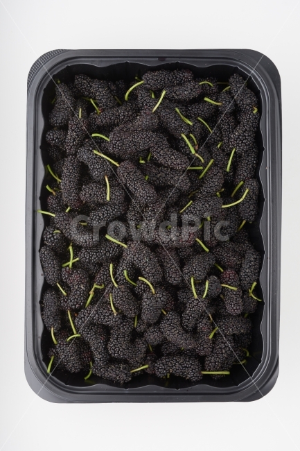 베리,블랙베리,블랙,화이트,과일,음식,식품,건강식,흰색배경,포장,검정박스,박스,플라스틱,음식,식재료,요리,food,cook,meal,dishes,food reserves,과일,열매,fruit,누끼,remove background