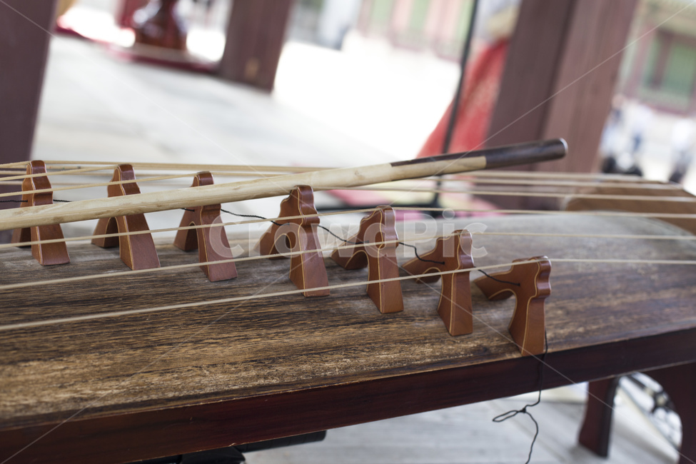 art,traditional instrument,show,string instrument,Gayageum,instrument,Korean musical instrument,fusion,Korean traditional music,music,stage,Asia,culture,tradition,Korean tradition