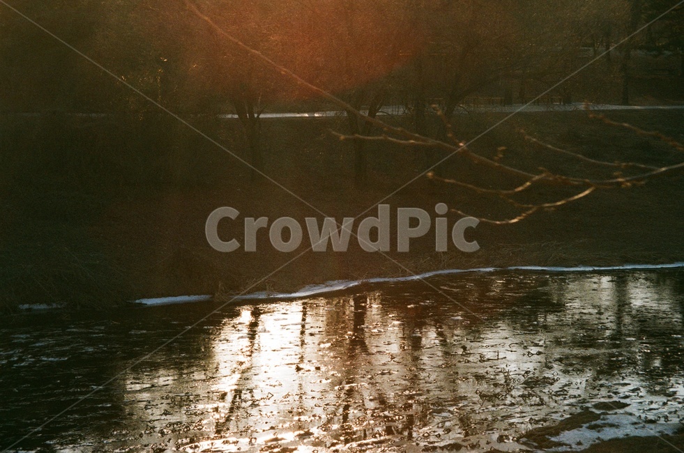 자연,outdoors,얼음,겨울,겨울공원,시냇물,겨울시냇물,겨울분위기,겨울자연,nature,winter,ice,자연,풍경,nature,landscape