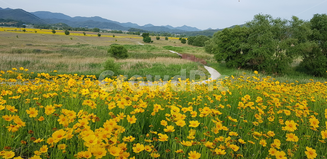 자연,강,꽃,플라워,풍경,힐링,여유