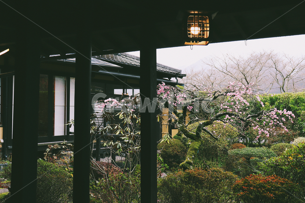 꽃,봄,spring,풀,조명,봄,계절,spring,season,해외,외국,세계,foreign,oversea,world,인테리어,실내디자인,interior design,porch,현관,patio,안마당,pergola,페르 골라,outdoors,옥외