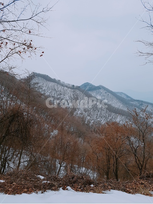 설산,겨울,겨울산,나무,눈