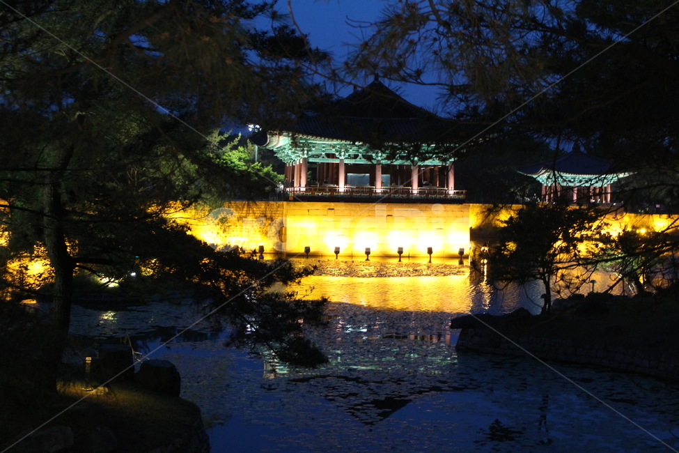 경주,전통,안압지,건물,한국,야경,korea,architecture