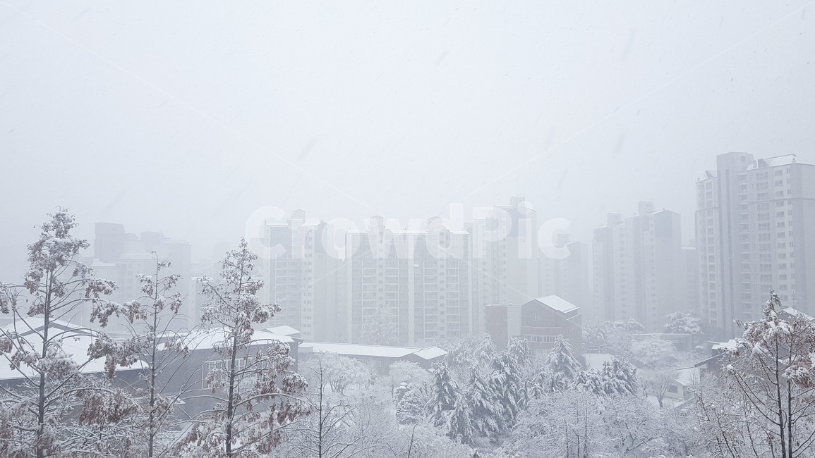 겨울,눈,눈보라,폭풍,자연,snow,winter,storm,nature,koreawinter,blizzard