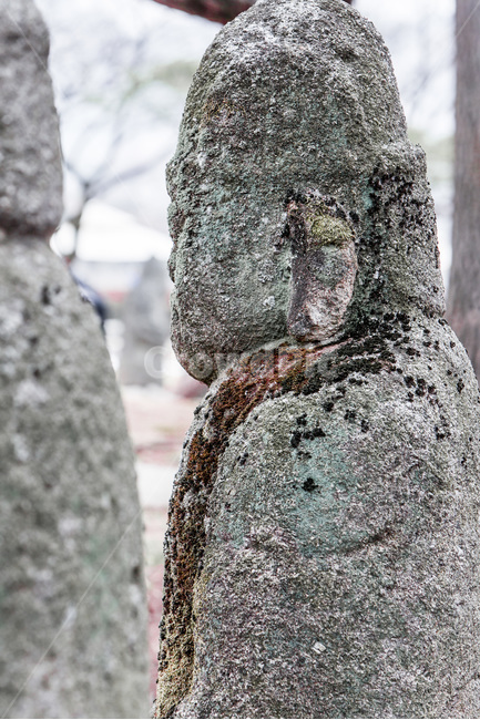 장승,돌조각,지킴이,이끼,봄,질감,봄,계절,spring,season,한국전통,한국문화,korean traditional,korean culture,조각상,동상,석상,조형물,statue,bronze statue,stone statue