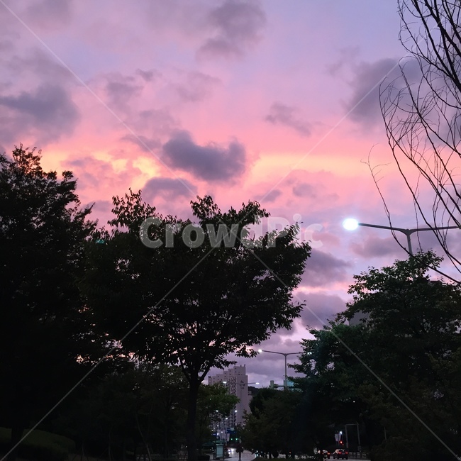 하늘,노을,분홍노을,보라노을,가을하늘,비온뒤노을,sky,sunset,감성,배경화면,자연,날씨,nature,weather,밝은노을,pink,purple
