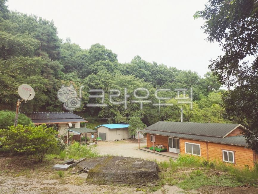 초가집,옛날집,시골집,건물,자연,나무,tree