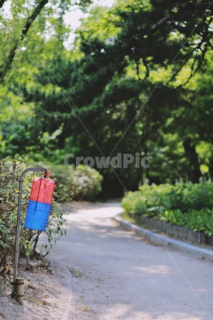 산책로,청사초롱,나무,공원,tree,park,자연,풍경,nature,landscape