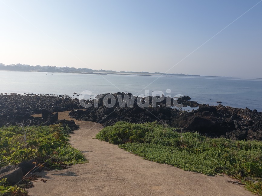 nature,자연,promontory,곶,바다,길,road,제주도