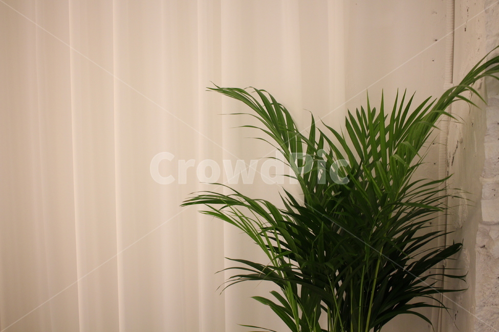 pot,restaurant interior,restaurant,curtain,interior