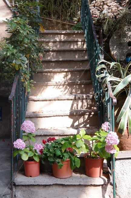 꽃계단,유럽꽃,계단,계단꽃,이탈리아계단,해외,유럽,banister,handrail,세로,힐링,꽃