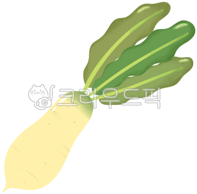 무,김장,김장재료,김장철,김치,김장행사,김장봉사,유기농,요리,김장체험,식당,이벤트,행사,겨울,농산물,김장일러스트,김장이벤트,일러스트