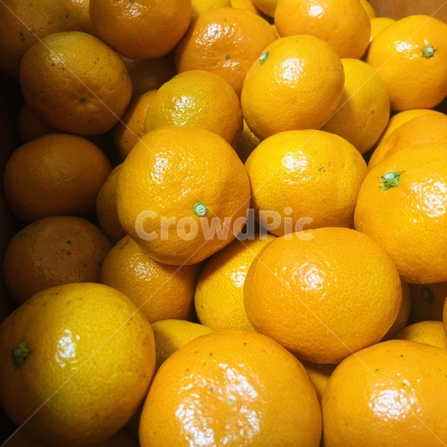 과일,귤,상큼한,상큼함,달달한,주황,겨울,food,fruit,citrusfruit,음식,과일,열매,fruit
