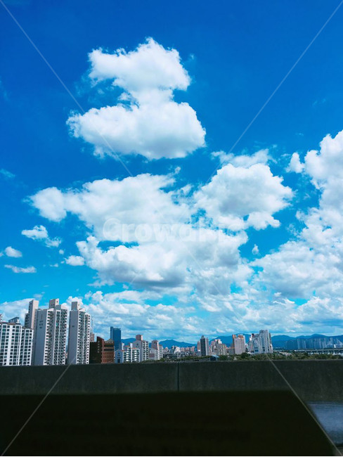 하늘,빌딩,경치,구름,서울