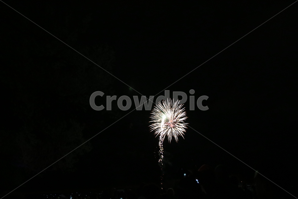 폭죽,축하,파티,빛,밤하늘,하늘,밤,party,celebration,congratulation,celebrate,congratulate,자연,긍정,기쁨,환희,firework