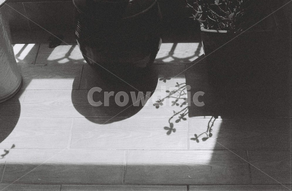흑백,필름사진,아파트,베란다,그림자,꽃,항아리,film,필름,shadow,blackandwhite
