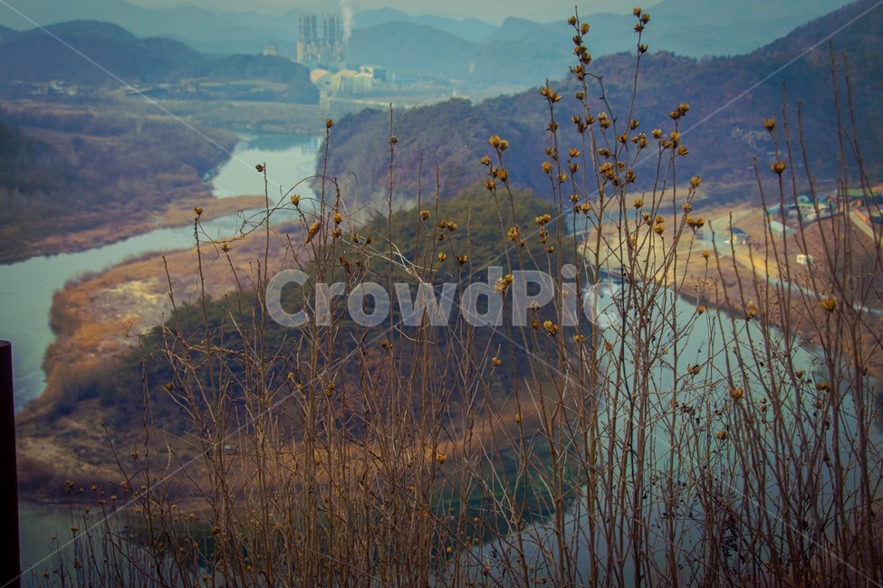 한반도,영월,등산,우리나라,지도,강,자연,grass,outdoors,nature,plant
