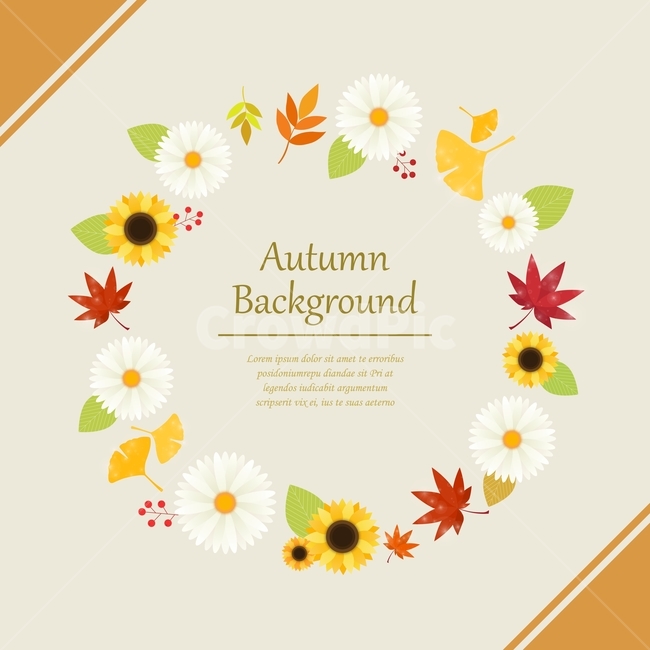 국화,은행잎,단풍,단풍잎,가을,프레임,배경,백그라운드,가을,계절,fall,autumn,season,그래픽,일러스트레이션,graphic,illustration,pattern,무늬,floral design,플로랄 디자인,art,미술