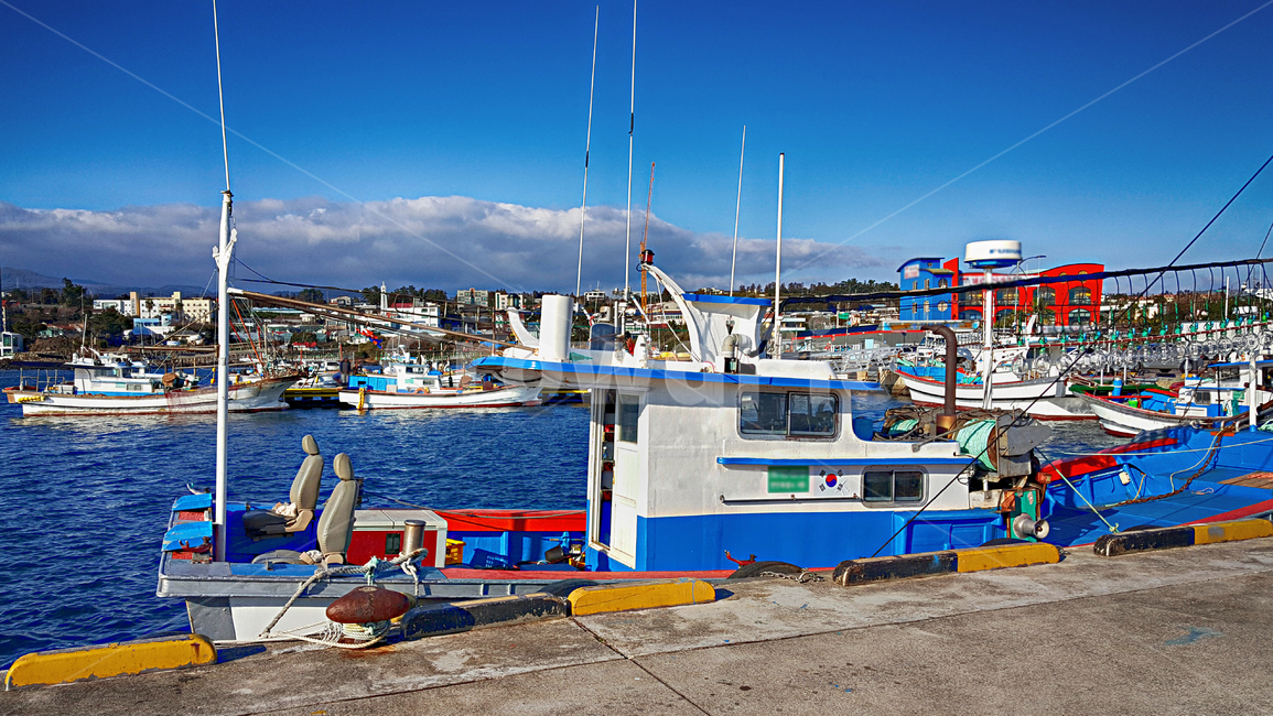 어선,항구,위미항,선박,교통,port,포트,바다,배,보트,boat,어업,fishery,fishing industry