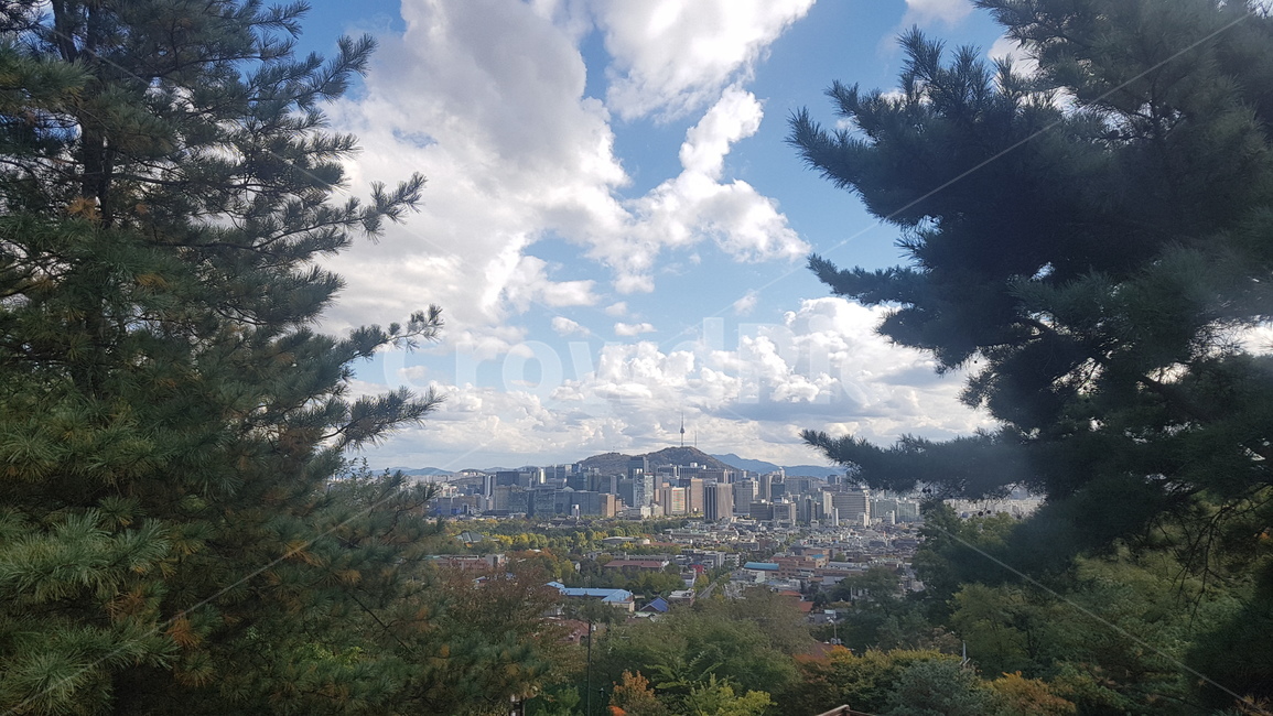 남산,서울,북악산,도시,산과도시,도시,풍경,city,landscape,한국도시풍경,한국도시경관,korea cityscape,nature,자연,outdoors,옥외,경치,weather,날씨,scenery