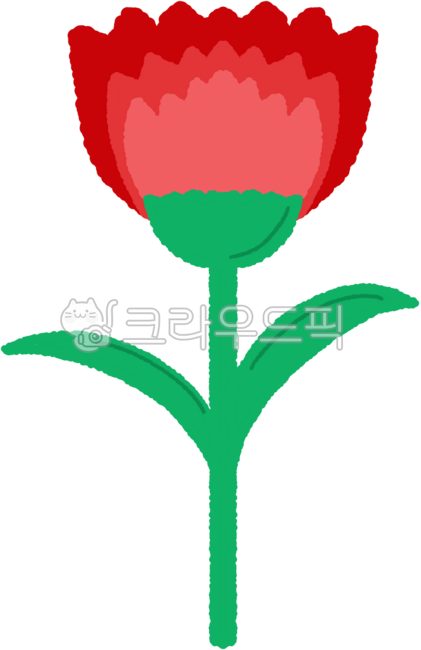 Carnation,Teacher's Day,Parents' Day,Flower,Gratitude,Family Month,Congratulations