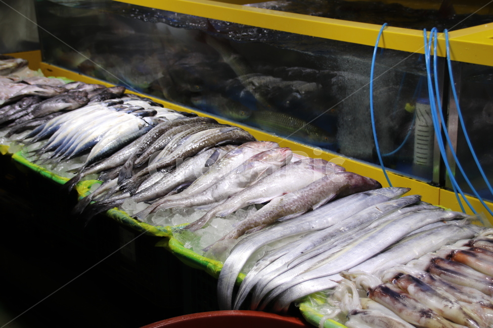 생선,해물,시장,신선한,다양한,시장,마트,마켓,market,mart,market place,음식,식재료,요리,food,cook,meal,dishes,food reserves,수산물,해산물,fishery products,seafood