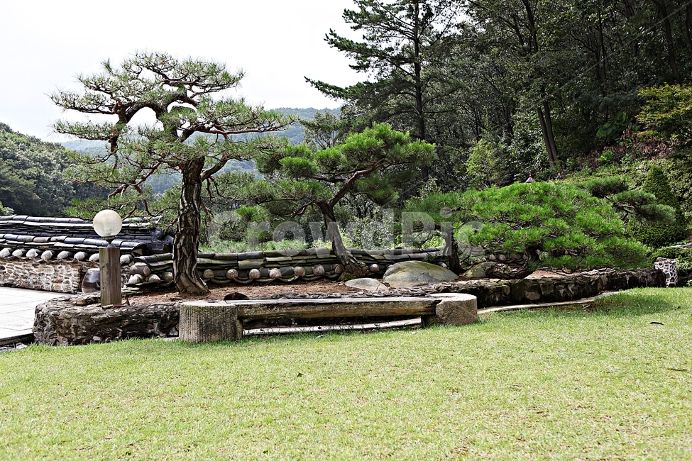 정원,옥외,정자,나무,의자,쉼터,휴식,잔디,식물,식물,자연,plants,nature,나무,trees,wood