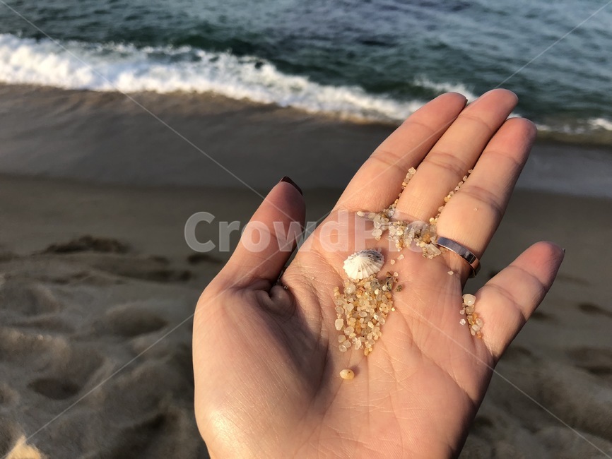 모래,손,손가락,바다,백사장,노을,컨셉,조개,조개껍질