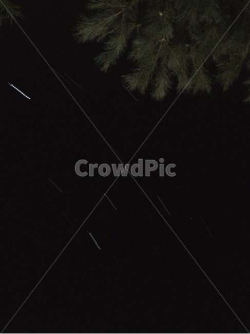 nature,자연,outdoors,옥외,별똥별,star,별,궤도,소나무,하늘,밤,야경,밤,풍경,nightscape,night,landscape