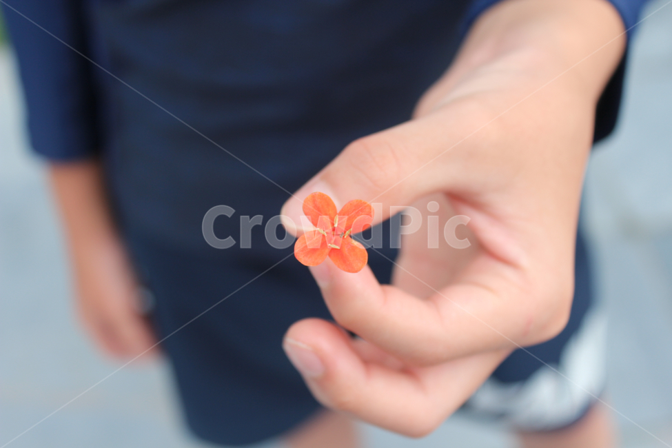 인간,사람,꽃,식물,행운