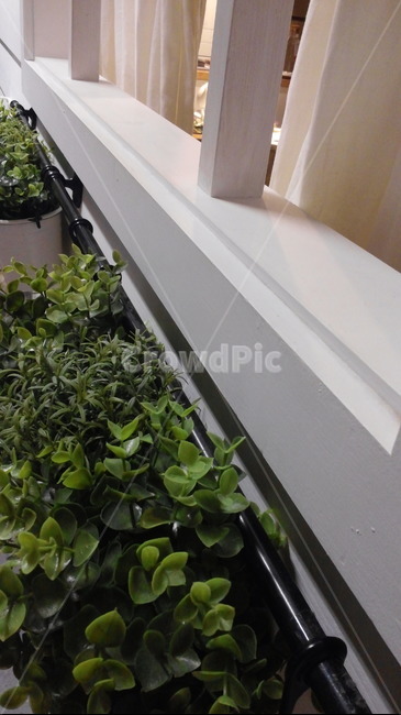 창,화분,조화,인테리어,풀,창문,실외,interior,실내용화초,화분,화초,house plant