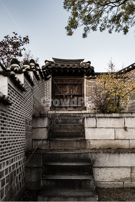 창경궁,한국,전통,건물,문,계단,빈티지사진,빈티지느낌,빈티지감성,vintage