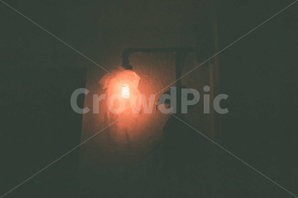 카페,야간출사,필름카메라,야릇함,오묘함,필라멘트,꽃,감성사진,조명,filament,mood,object,감성,sensible,feeling,인테리어,실내디자인,interior design