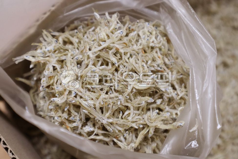 일반멸치,말린생선,멸치,야생동물,매우작은,마른,요리,재료,동물,바다,자연,식사,물고기,건강한,요리재료