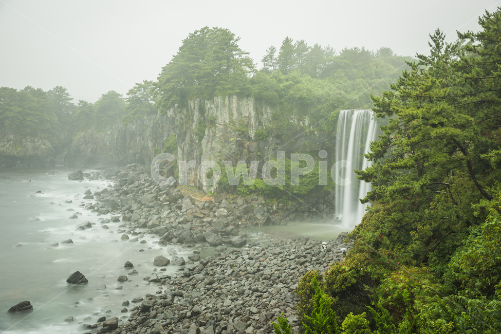 폭포,제주도,비,흐림,정방폭포,자연,풍경,nature,landscape,water,물,river,강,outdoors,옥외,waterfall