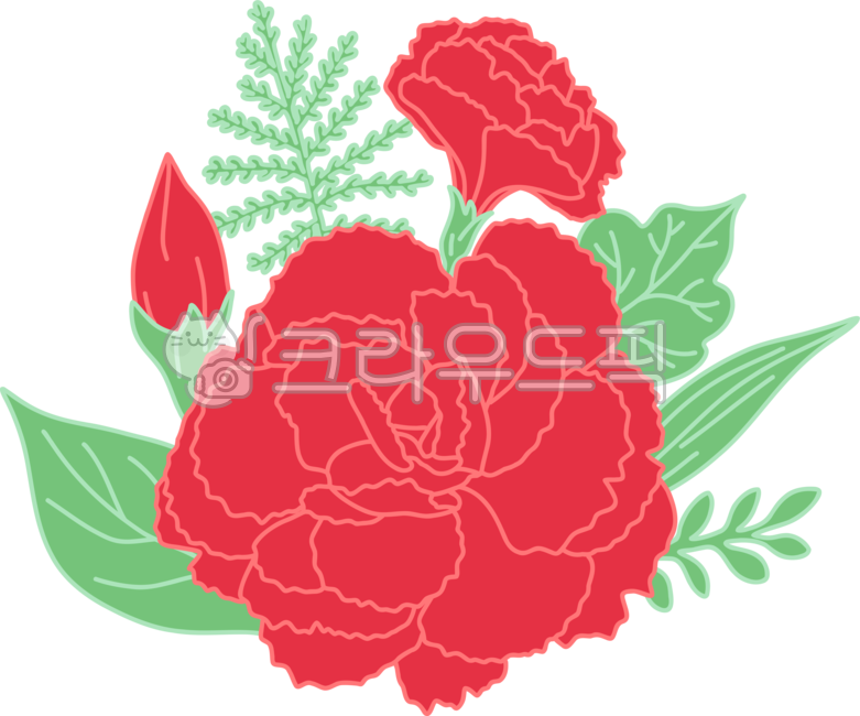 Red,Teachers day,family month,In May,carnation,Mothers Day,flower,red flower