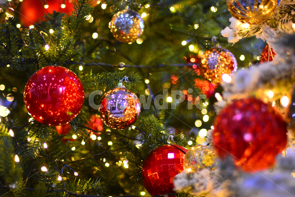 크리스마스,성탄절,장식물,트리,데코레이션,디스플레이,전시용,크리스마스볼,christmas,xmas,예수탄생일,공,볼,원형,조명,전구,빛,라이트반사,광택,분위기,배경,바탕,백그라운드,칼라풀,colorful,decoration,display,ball,light