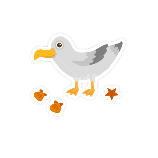 갈매기,동물,바다,새,조류,해수욕장,그래픽,일러스트레이션,graphic,illustration