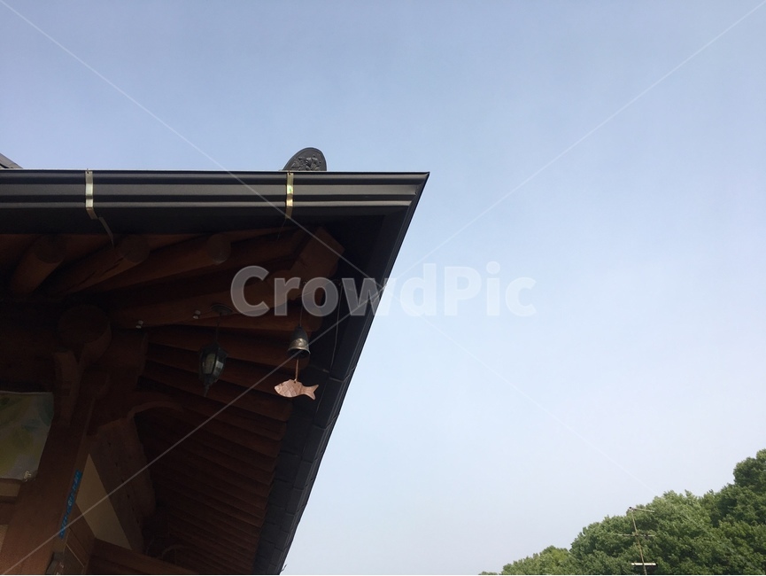 전주,한옥마을,한옥,한옥집,담장,담벼락,일상,나을이,여행,구옥,기와,전통,문양,하늘,풍경,따뜻한,분위기,고즈넉,자연,대한민국