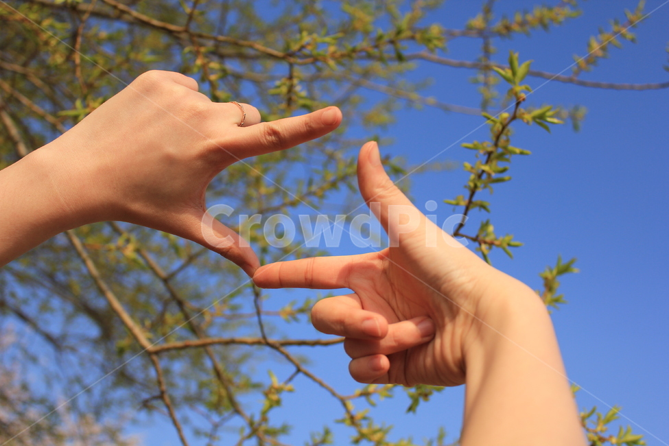손,감성,봄,꽃,감수성,계절,봄꽃,플라워,캡쳐,capture,spring