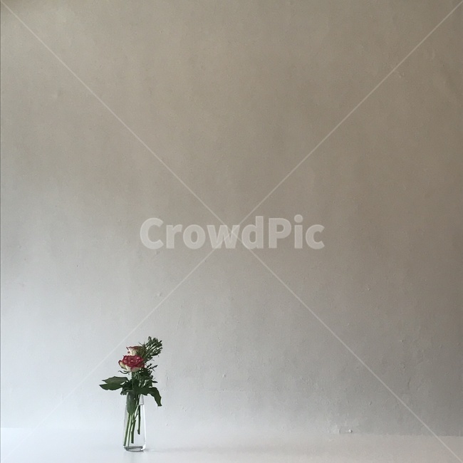꽃,장미,카페,꽃한송이,꽃꽂이,식물,병장식,장식,flowerarrangement