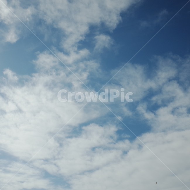 하늘,구름,맑은날씨,파란하늘,sky,clear