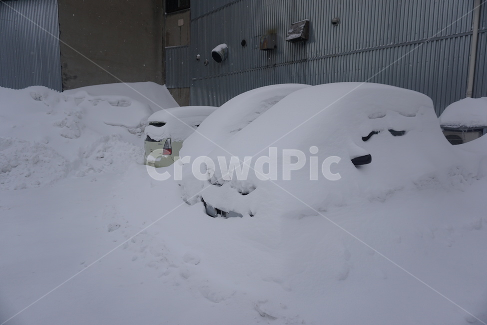 폭설,겨울,눈,날씨,훗카이도,winter,snow,nature,outdoors