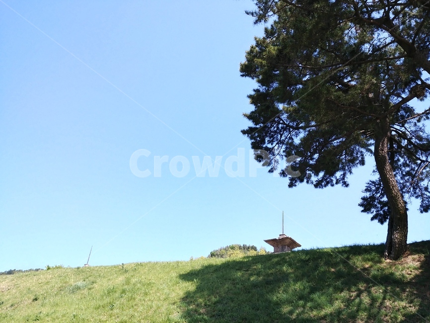언덕,지평선,잔디밭,풀밭,시골,시골풍경,자연,풍경,nature,landscape,outdoors,옥외,grassland,목초지,field,들